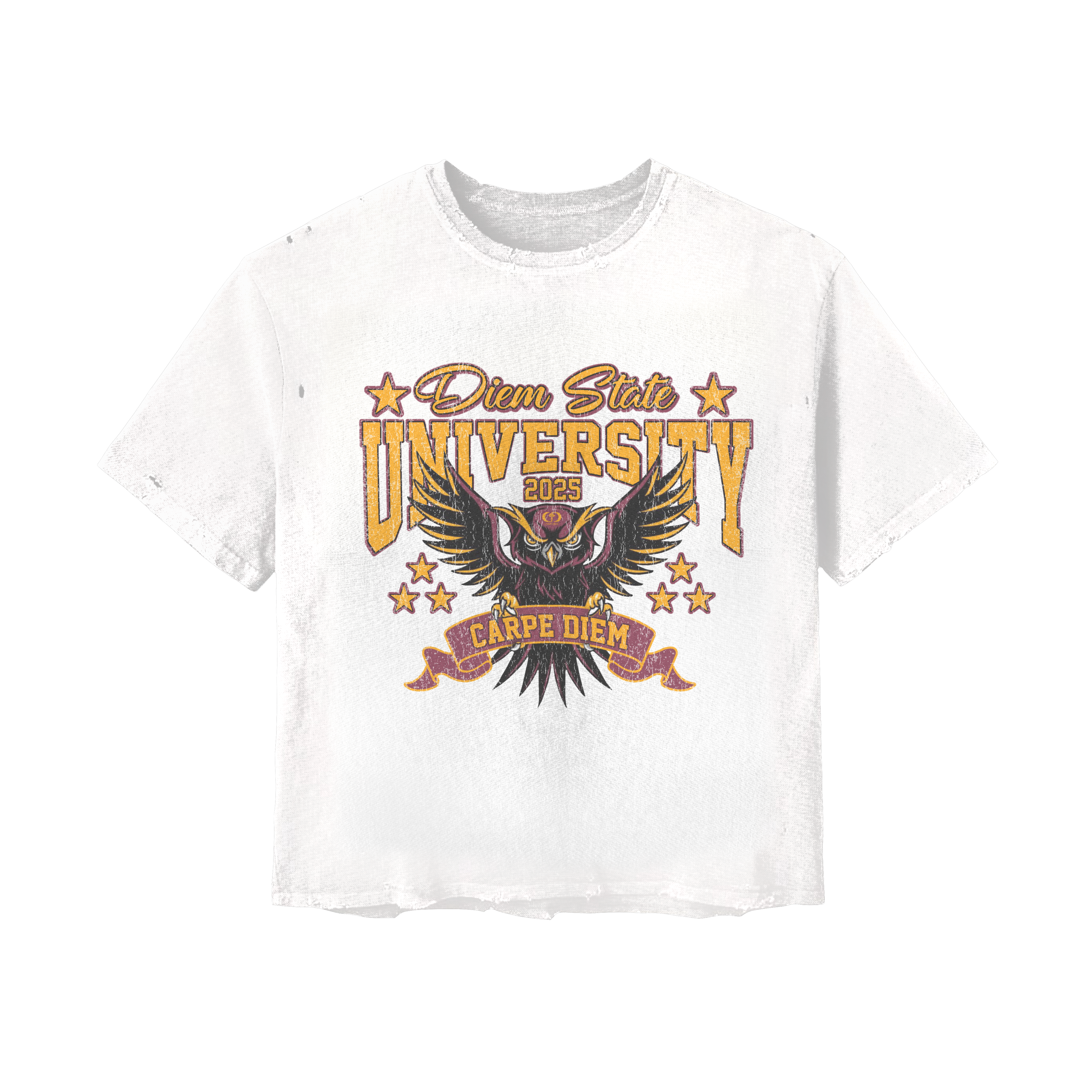 Diem State University Tee