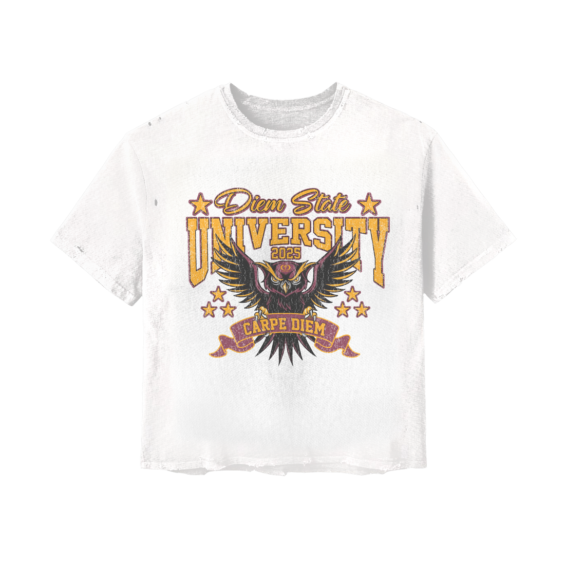Diem State University Tee